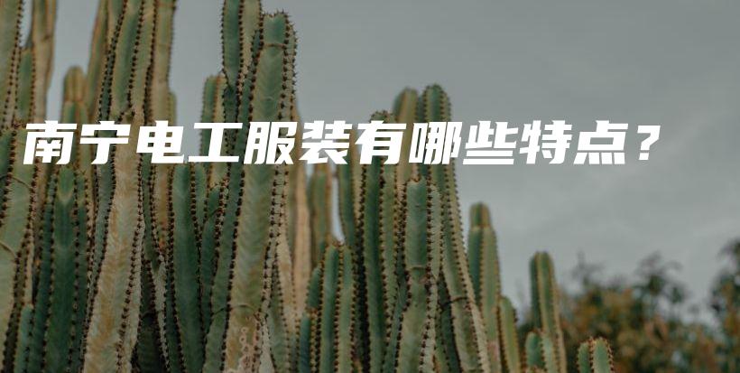 南宁电工服装有哪些特点？插图